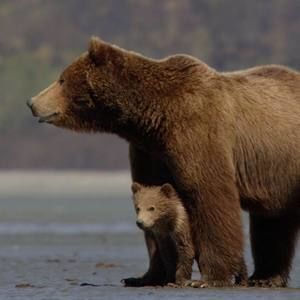 Meet your Posher, Melinda